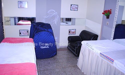 Blossom Ladies Beauty Parlour in Ambabari, Jaipur - 302039