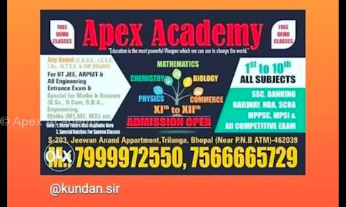 Apex Academy