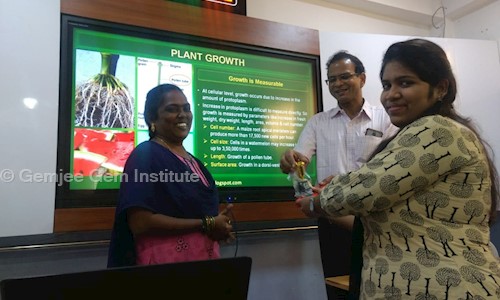 Gemjee Gem Institute in KK Nagar, Chennai - 600078
