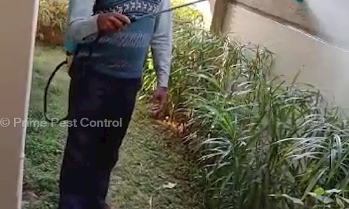Prime Pest Control in Jadavpur, Kolkata - 743387