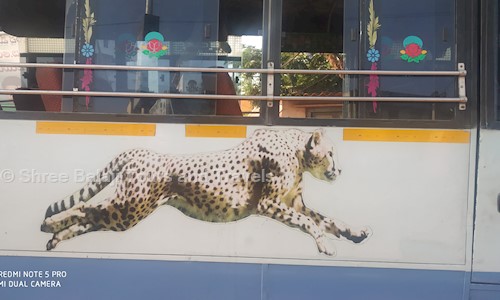 Shree Balaji Tours And Travels in Bairagi Patteda, Tirupati - 517501