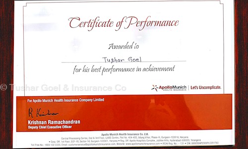 Tushar Goel & Insurance Co in Vidya Nagar, Bilaspur - 495001