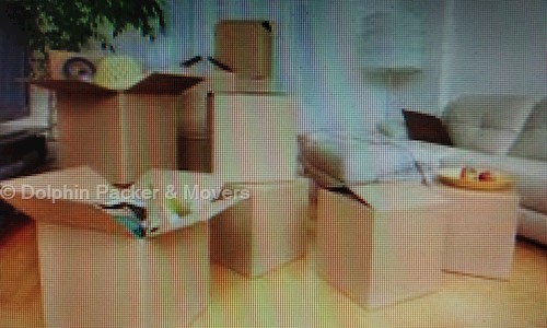 Dolphin Packer & Movers in Ranip, Ahmedabad - 382480
