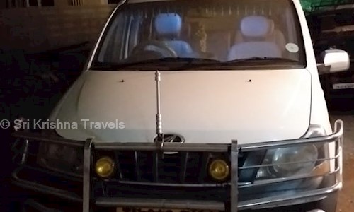 Sri Krishna Travels in Srirangam, Trichy - 620006
