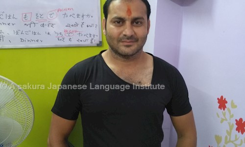 A sakura Japanese Language Institute in Ambabari, Jaipur - 302039