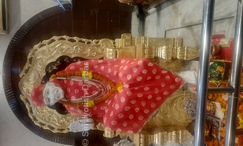 Sai Jyotish Darbar in Naya Bass, Churu - 331027