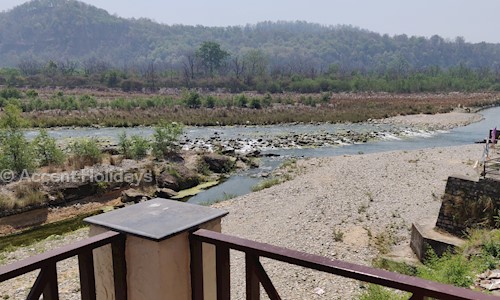 Accent Holidays in Laxmi Nagar, Delhi - 110053