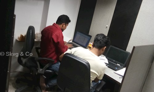 Skvg & Co. in Sector 4, Noida - 201301