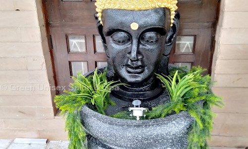 Green Unisex Salon & Spa in Paldi, Ahmedabad - 380007
