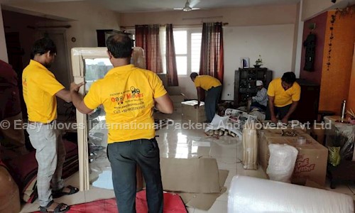 Easy Moves International Packers And Movers Pvt. Ltd. in Pusa, Samastipur - 848504