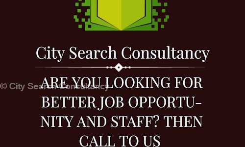 City Search Consultancy in Vesu, Surat - 395007