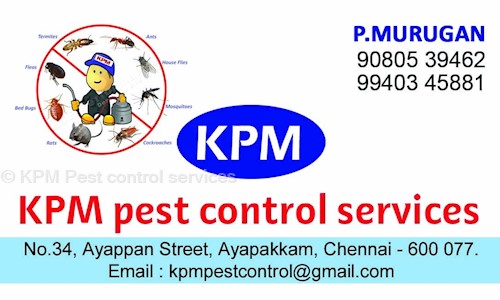 Pest control services in Ayappakkam, Chennai - 
