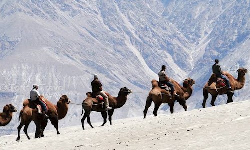 Tour & Travel in Sushant Lok III, gurgaon - 122001