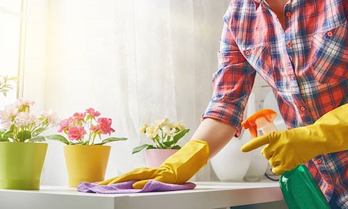 Clean Master in Thergaon, Pimpri Chinchwad - 411033