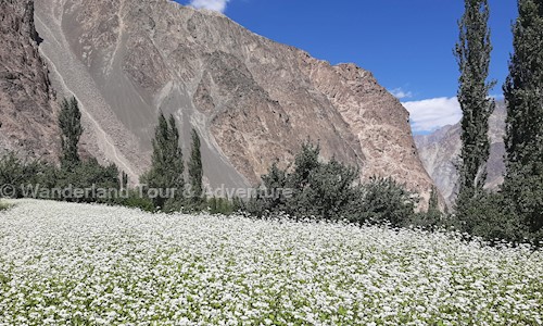 Wanderland Tour & Adventure in Leh Airport, Leh - 194101