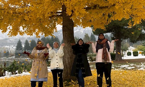 Premier tour and travels in Rambagh, srinagar - 191113