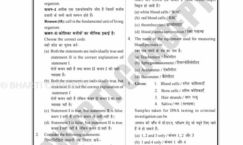BHARTI CONCEPT in Subhash Chowk, Sonipat - 131001
