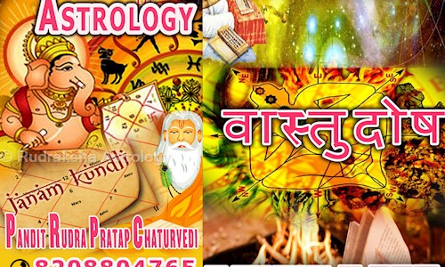 Rudraksha Astrology in Andheri West, Mumbai - 400102