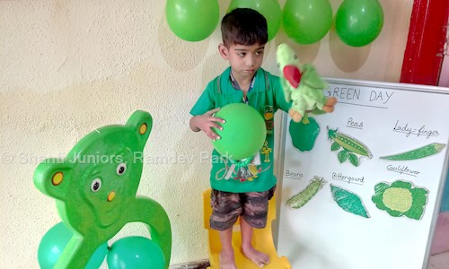 Shanti Juniors, Ramdev Park in Mira Road, Mumbai - 401107