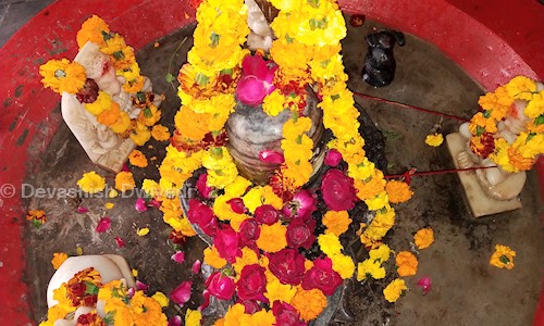 Devashish Dwivedi in Surajpur, Greater Noida - 201306