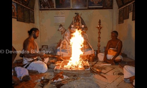Devendra Bhargav in Hanuman Nagar, Jaipur - 302012