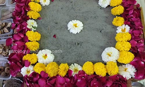 Astrology and puja path in Sector 45, noida - 201303