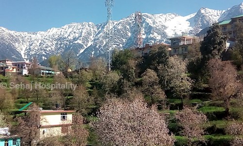 sehaj hospitality in Jahu, Hamirpur - 176045