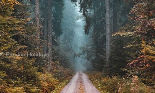 Fundoo Holidays in Paschim Vihar, New Delhi - 110063