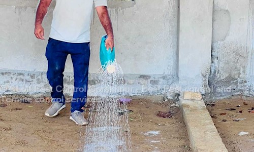 SLMI Pest Control Gorakhpur - Best Pest control and Termite control services in Gorakhpur, Gorakhpur - 273001