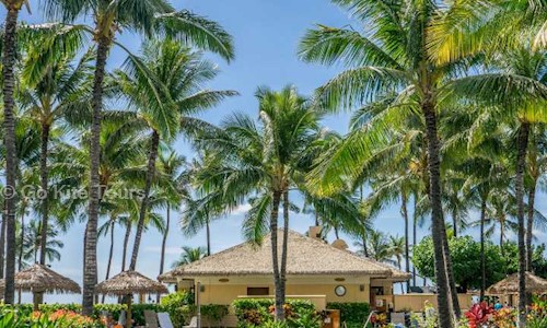 Go Kite Travel and Tours LLP in Dakshina Kannada, Mangalore - 575018