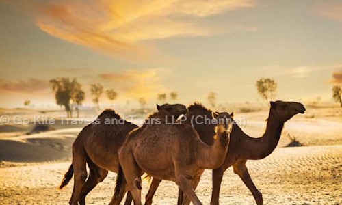 Go Kite Travels and Tours Chennai in EGMORE, Chennai - 600008