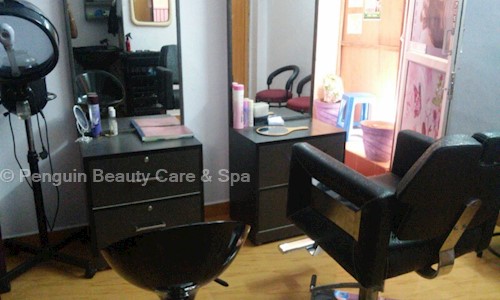 Penguin Beauty Care & Spa in Velachery, Chennai - 600042