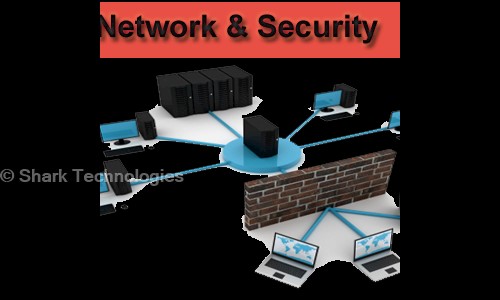 Shark Technologies in Ellis Bridge, Ahmedabad - 380009