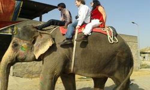 Triangle Tours in Amer, Jaipur - 302028