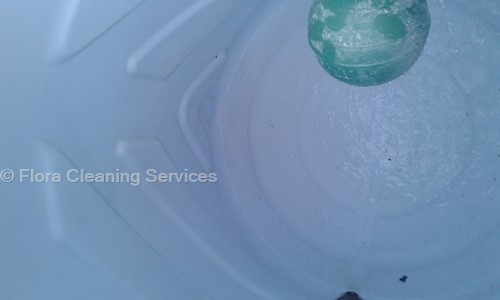 Flora Cleaning Services in Mahanagar, Lucknow - 226006