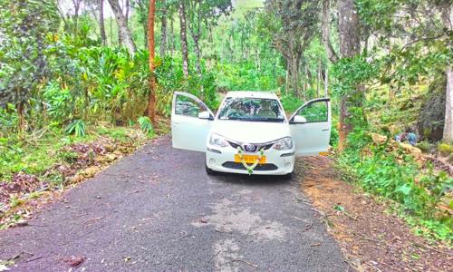 Vetrivela Tours Travels in 100 Feet Road, Coimbatore - 641653