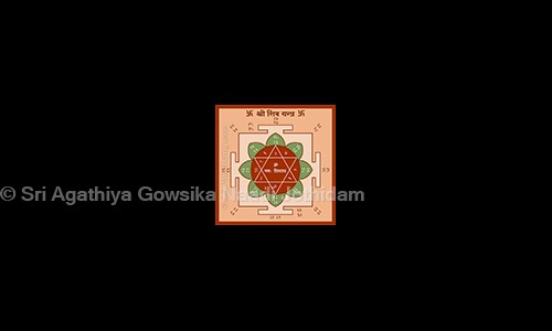 Sri Agathiya Gowsika Naadi Jothidam in West Mambalam, Chennai - 600033