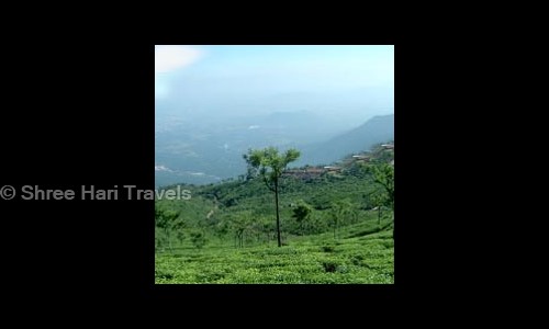 Shree Hari Travels in Tatabad, Coimbatore - 641012
