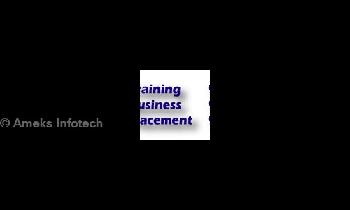 Ameks Infotech in Ekkatuthangal, Chennai - 600032