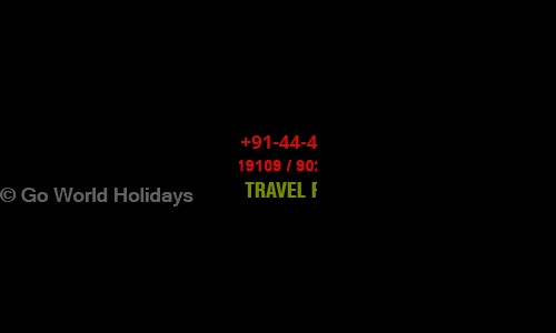 Go World Holidays in Thousand Lights, Chennai - 600006