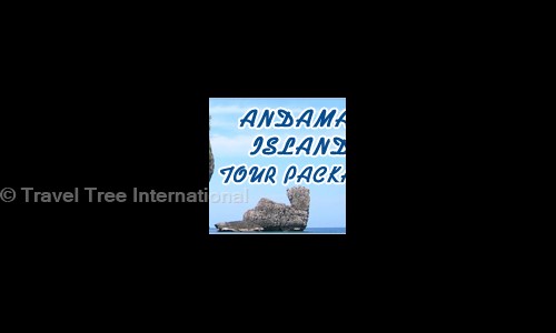 Travel Tree International in Anand Vihar, Delhi - 110092