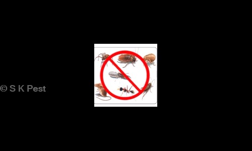 S K Pest in Sector 22B, Chandigarh - 160022