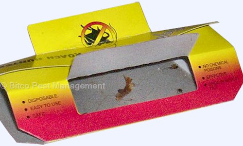 Bitco Pest Management in Satellite, Ahmedabad - 380015