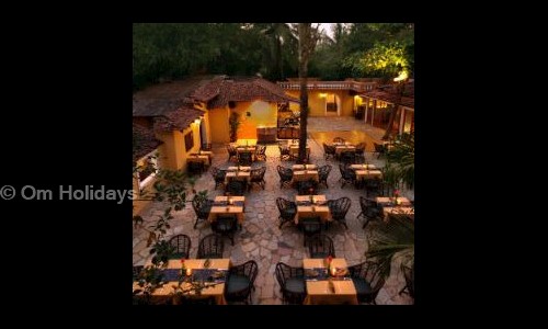 Om Holidays in Ellis Bridge, Ahmedabad - 380009