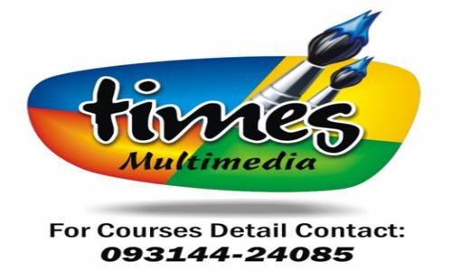 Times Multimedia Academy in Vihyadhar Nagar, Jaipur - 302023
