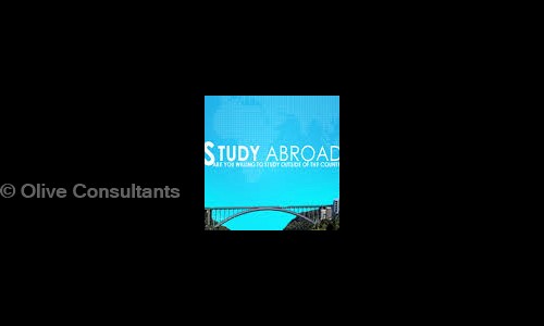 Olive Consultants in Kilpauk, Chennai - 600010