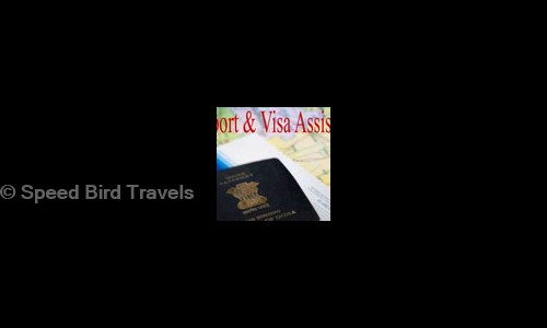 Speed Bird Travels in Panaji, Goa - 403001