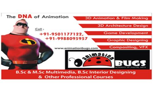 Animation Bugs in Sector 8C, Chandigarh - 160017