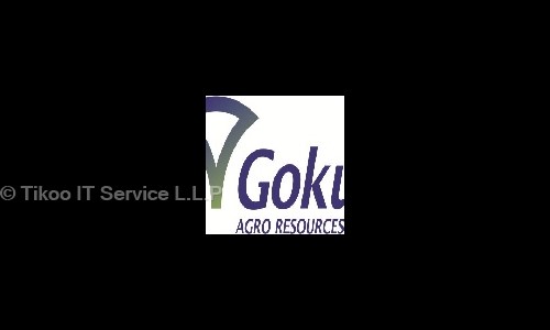 Tikoo IT Service L.L.P. in Ramdev Nagar, Ahmedabad - 380015