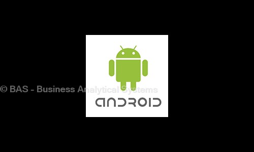 BAS - Business Analytical Systems in Ameerpet, Hyderabad - 500016